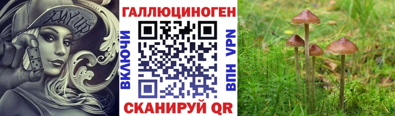 Галлюциногенные грибы мицелий  купить наркотик  Пушкино 